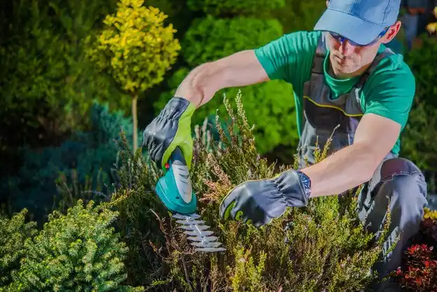 landscaping services Prestonsburg